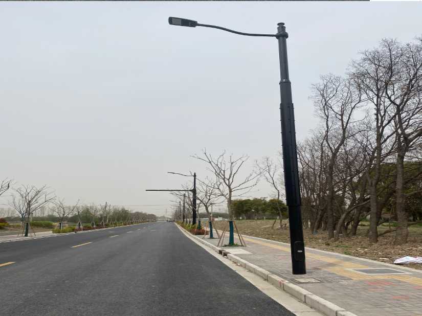 阳山县上海综合杆 太阳能路灯工程